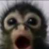 😲