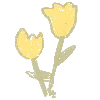 🌷