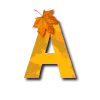 🔠