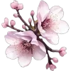 🌸