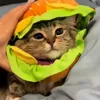 🍔