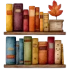 📚