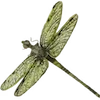 🦋
