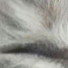 ⭐