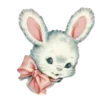 🐰