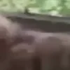 ⭐