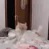 😊