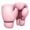 🥊