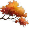 🍁