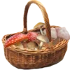 🍄