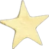 🌟