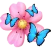 🌸