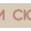 🤎
