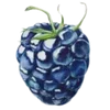 🍓