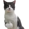 👍