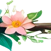 🌸