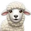 🐑
