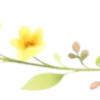 🍋