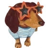 🐕