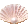🐚