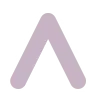 🟣