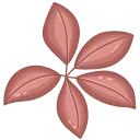 🍁