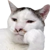 ❓