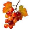 🍇