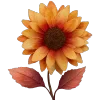🌻