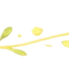 🍋