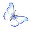 🦋