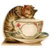 🩰