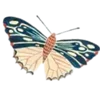 🦋