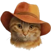 🐱