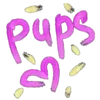 🐈‍⬛