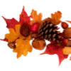🍁