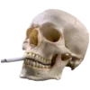 💀