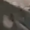 ⭐