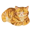 🐈