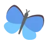 🦋