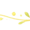 🍋