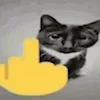 🖕