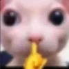 🤫