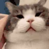 😣