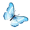 🦋