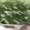 ⭐