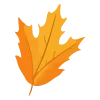 🍁