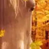 🎃