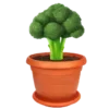 🥦