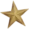 🌟